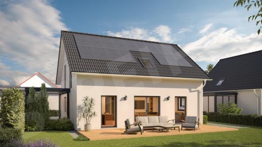 Family XL 2-3 normal