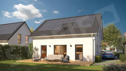 Family XL 3-4 normal